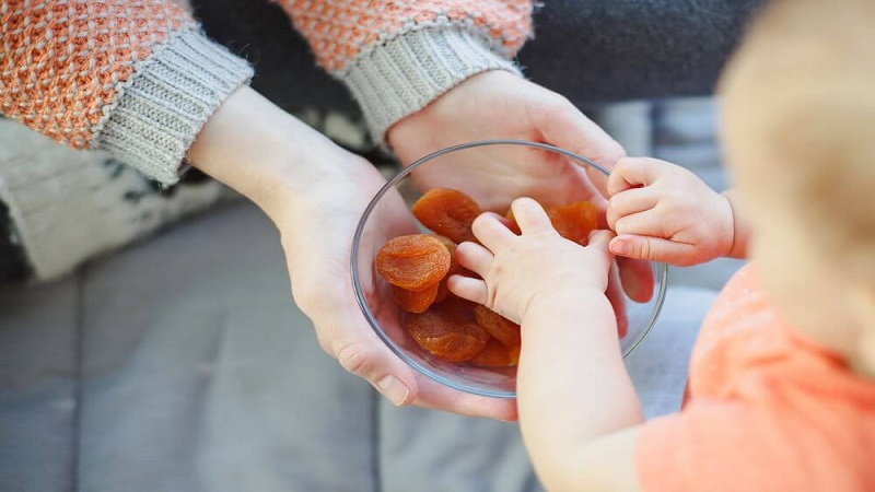 فواید میوه خشک برای کودکان – کودکان خود را با یک میان وعده سالم تغذیه کنید!